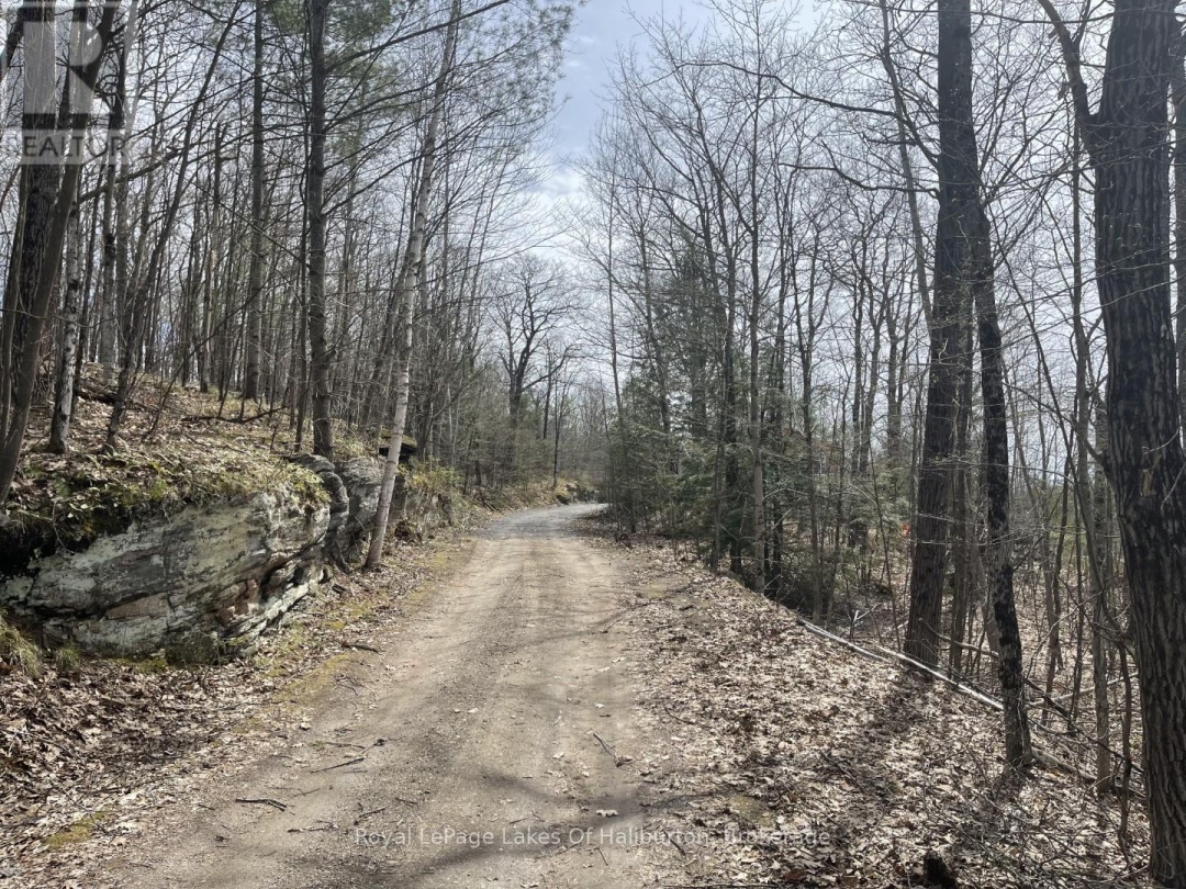 0 Starlight Road, Gull Lake