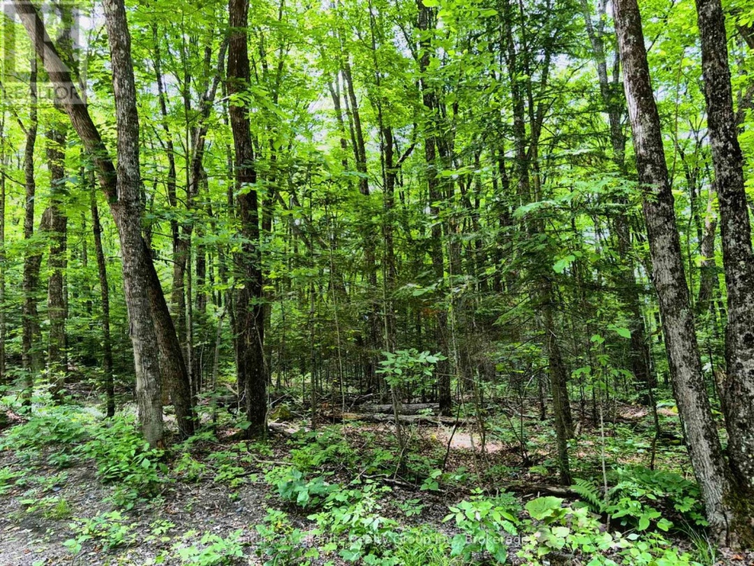 0 LOON LAKE ROAD, 
