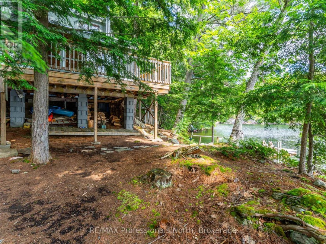 53437 BIG HAWK LAKE, 