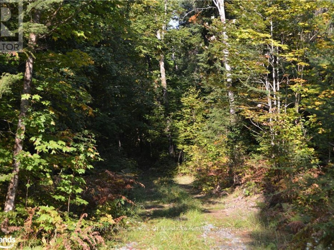LOT 20 CONCESSION 5 ROAD, 