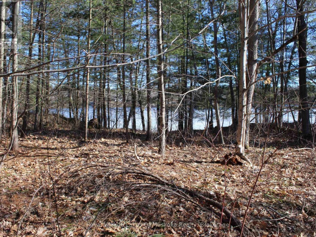 Pt Lts H&I Island 12Sr Island, Severn Lake