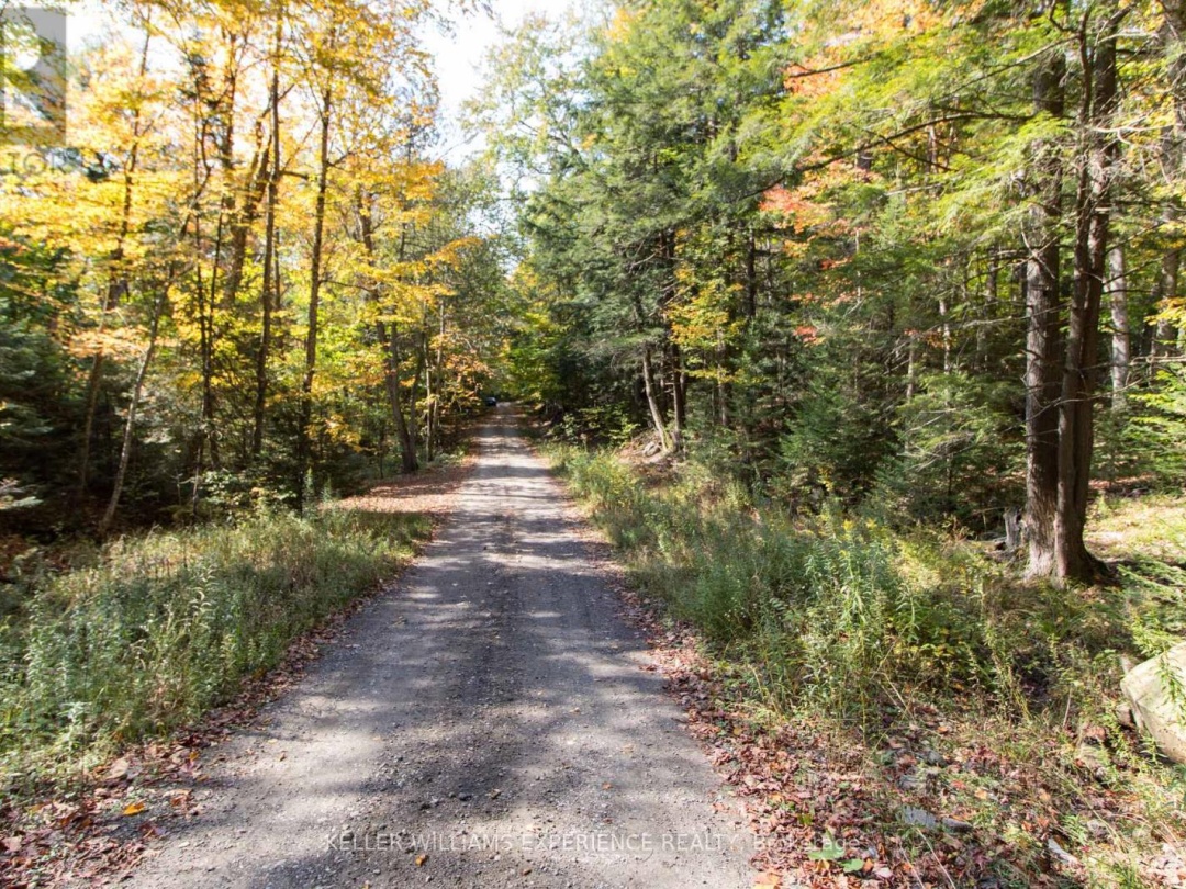 0 LYNX LAKE ROAD, 