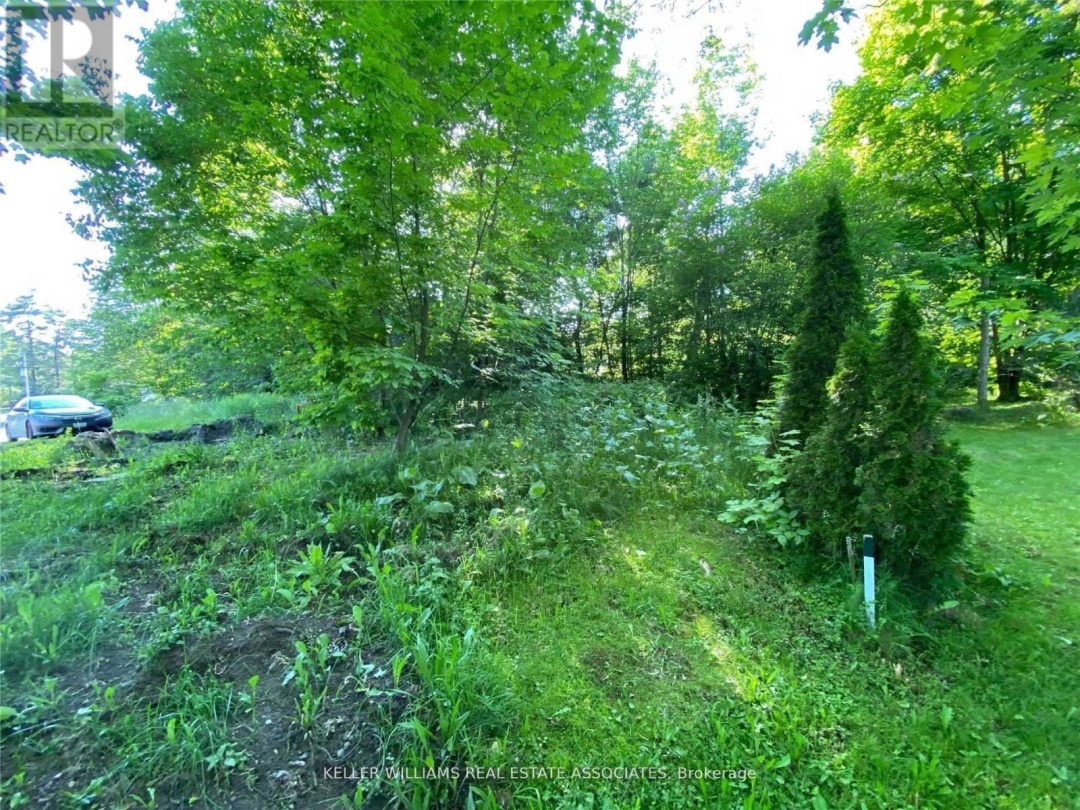 3172 Muskoka 169 Road, Muskoka Lakes