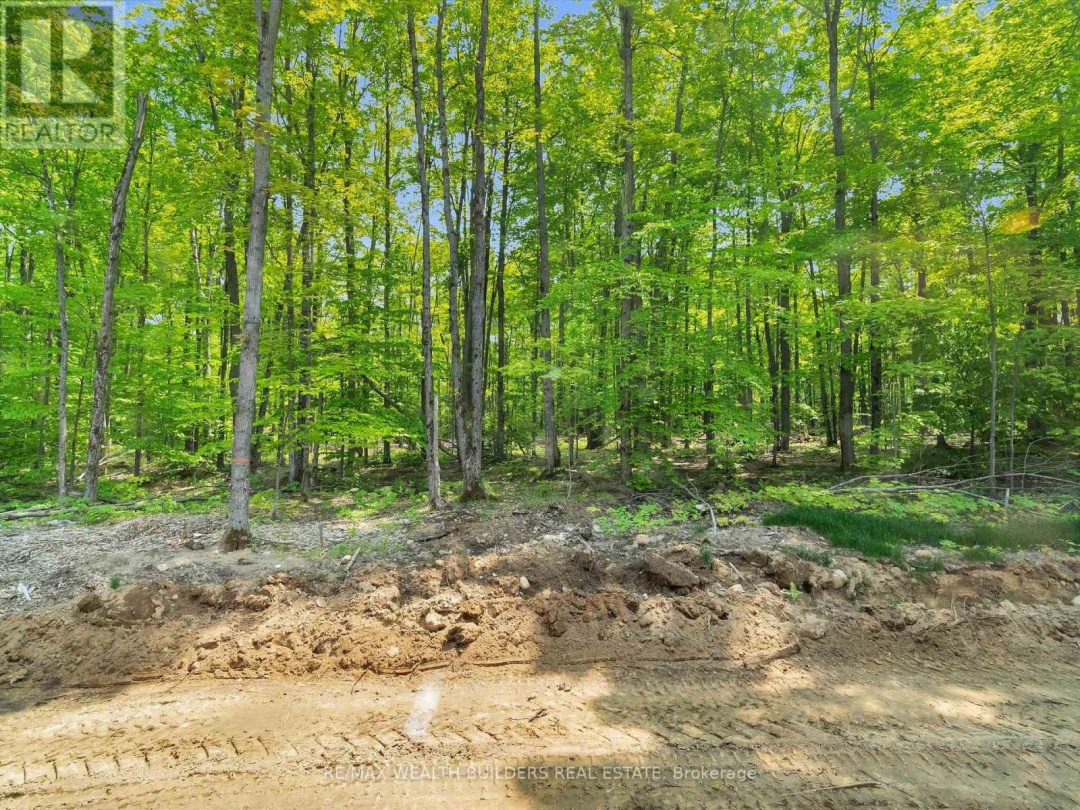 185 Mceachern Lane, Gravenhurst