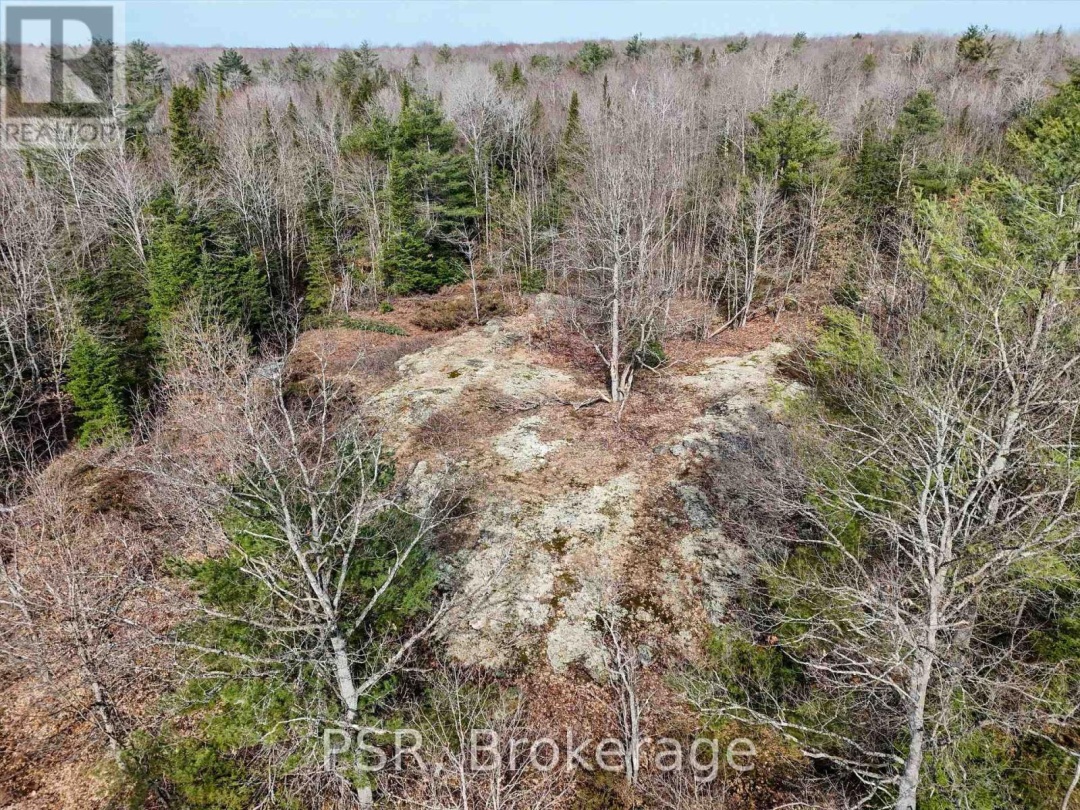 3410 Southwood Road, Gravenhurst