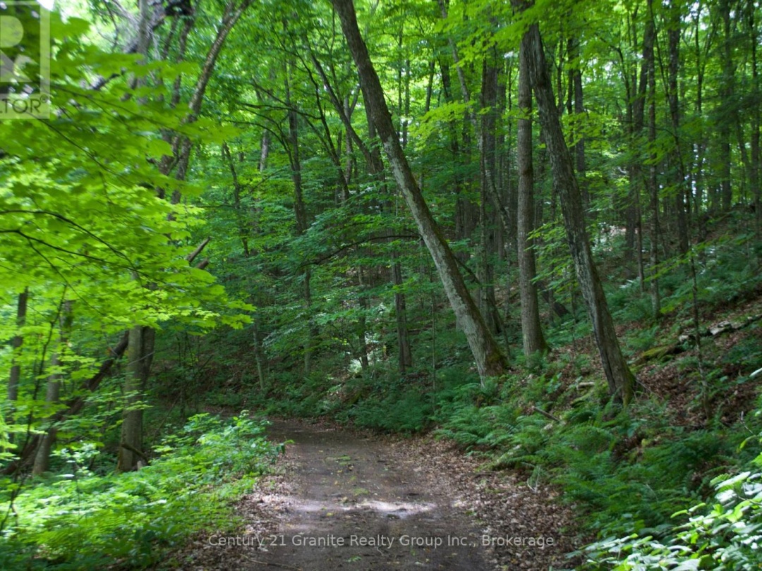LOT 10 LOON LAKE ROAD S, 