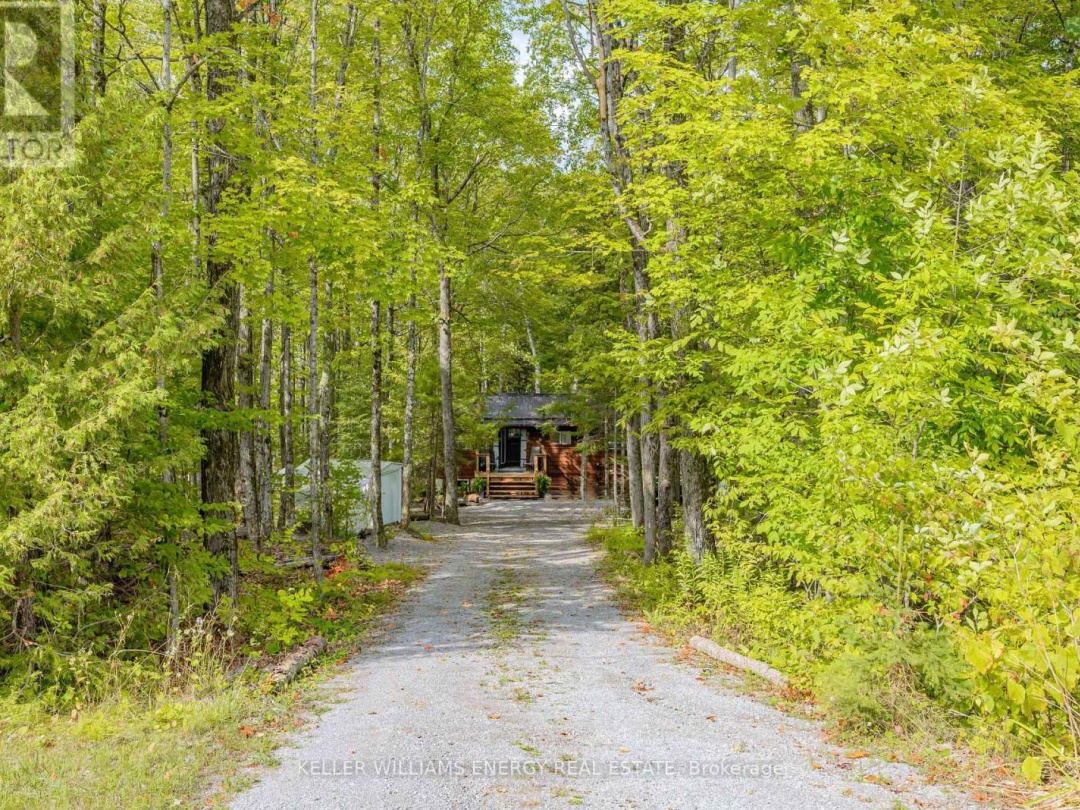 260 EDWINA DRIVE, 
