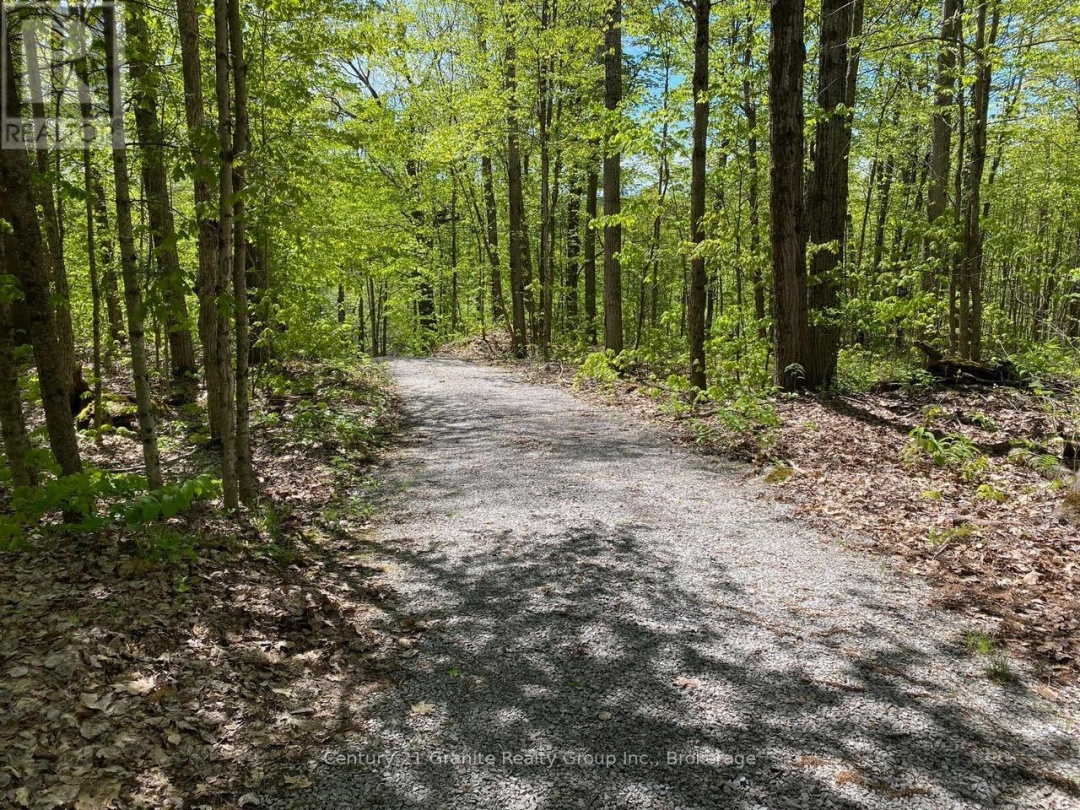 1037 ROTUNDA DRIVE, Contau Lake