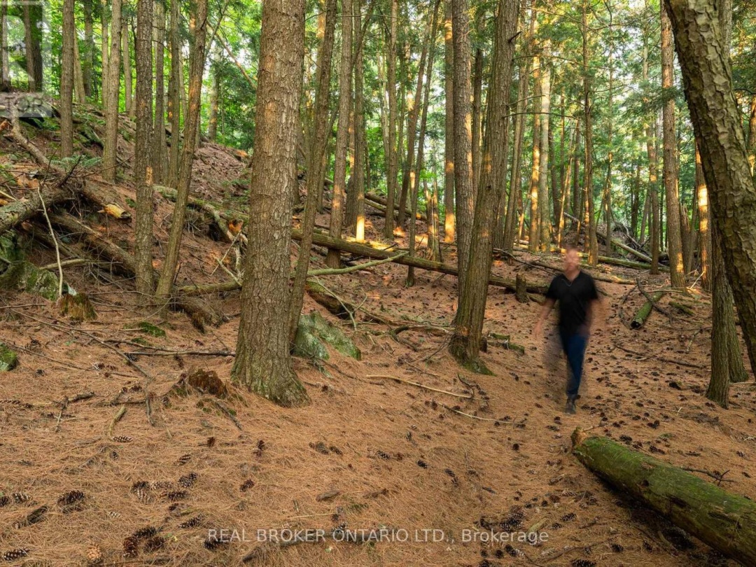 1401 COOPERS FALLS ROAD, 