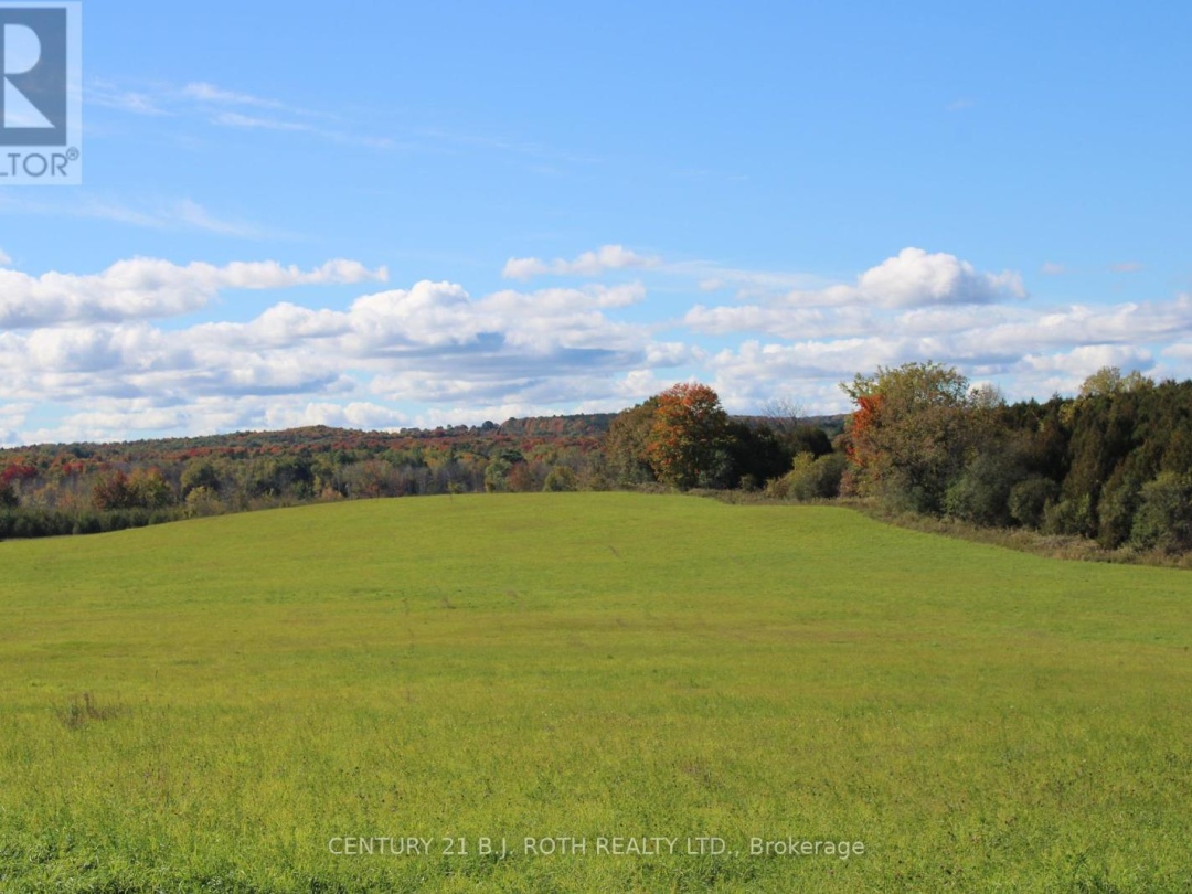 388 WOODLAND DRIVE, Oro-Medonte