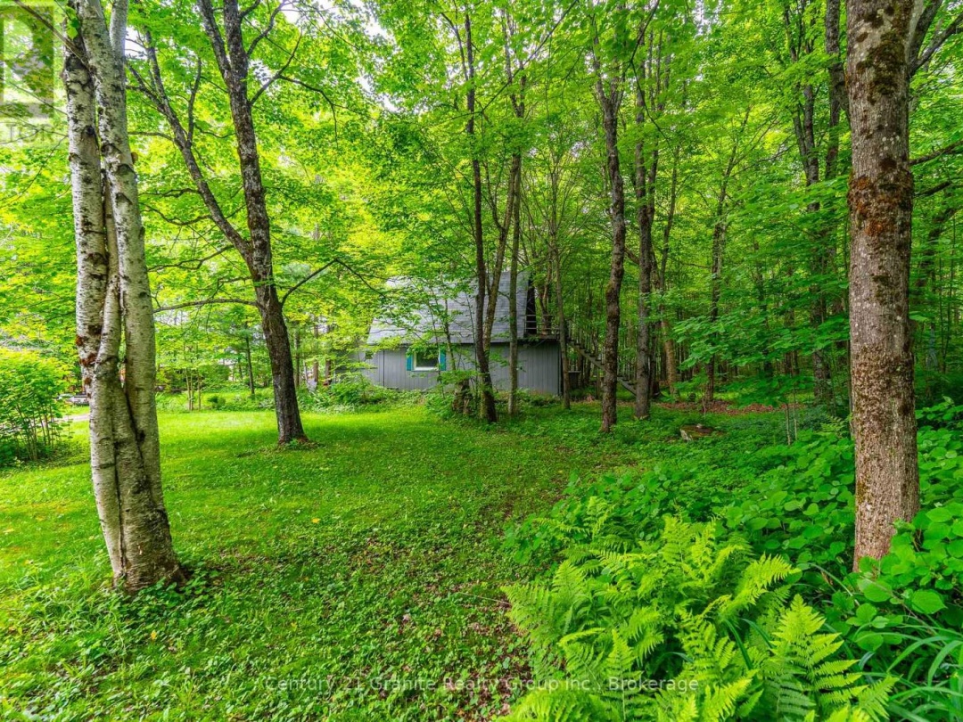 1553 KUSHOG LAKE ROAD, 