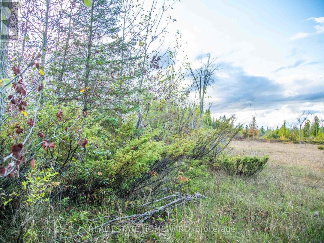 LOT 256 MCGUIRE BEACH ROAD, 