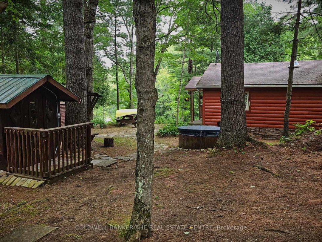 54 BLACK RIVER ROAD, 