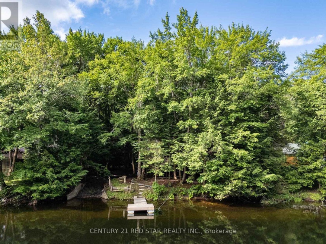 1139 SHERWOOD FOREST ROAD, 
