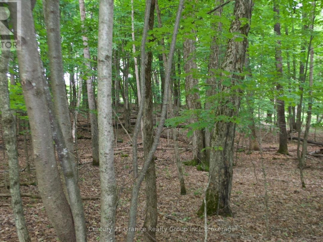 LOT 7 RIDGEVIEW ROAD, 
