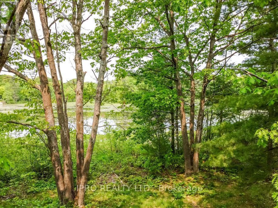 382 Corrievale Road, Little Lake