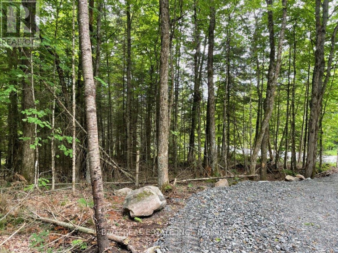 1350 HALIBURTON LAKE RD,