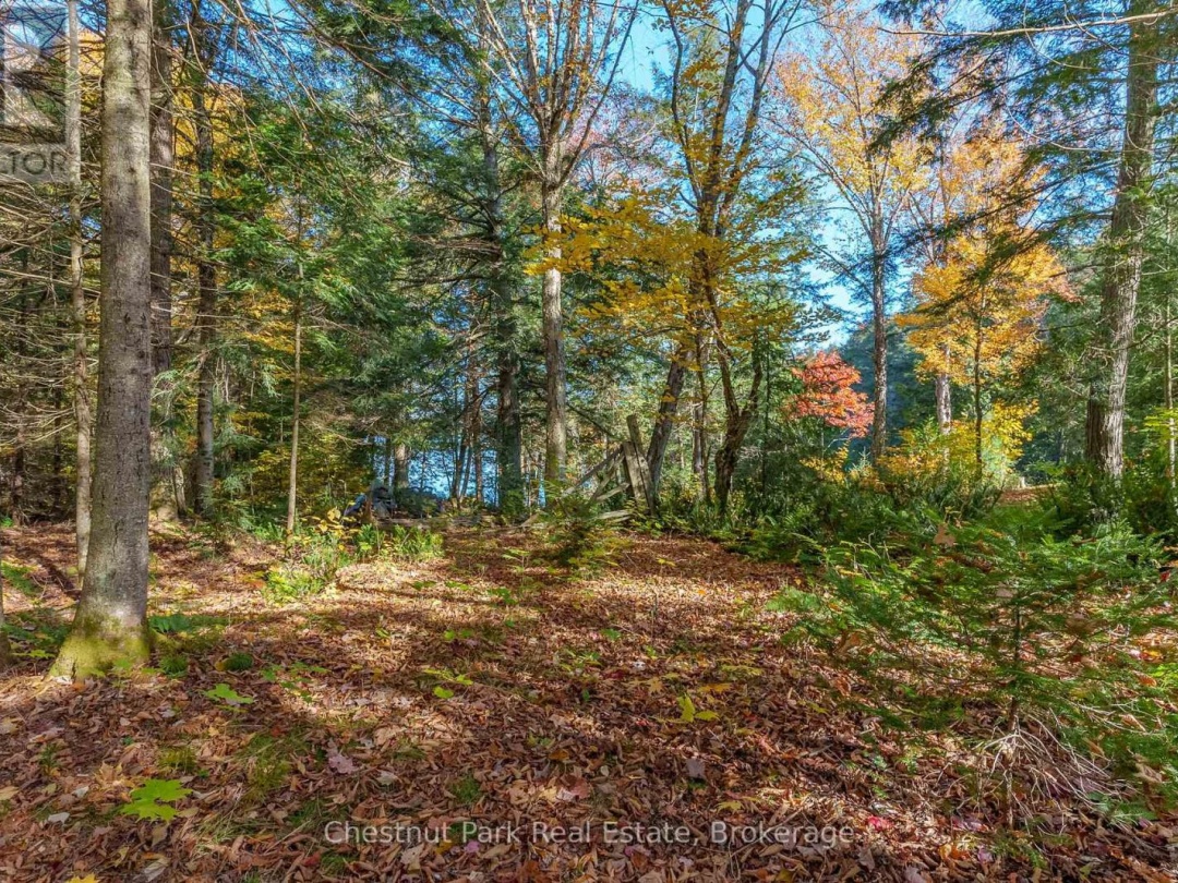 1031 Carl Fisher Drive, Bella Lake
