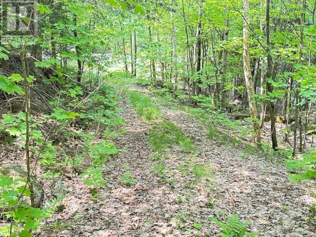 4 TURTLE LANE, 