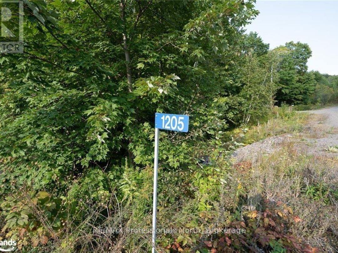 1205 Little Hawk Lake Road, Algonquin Highlands