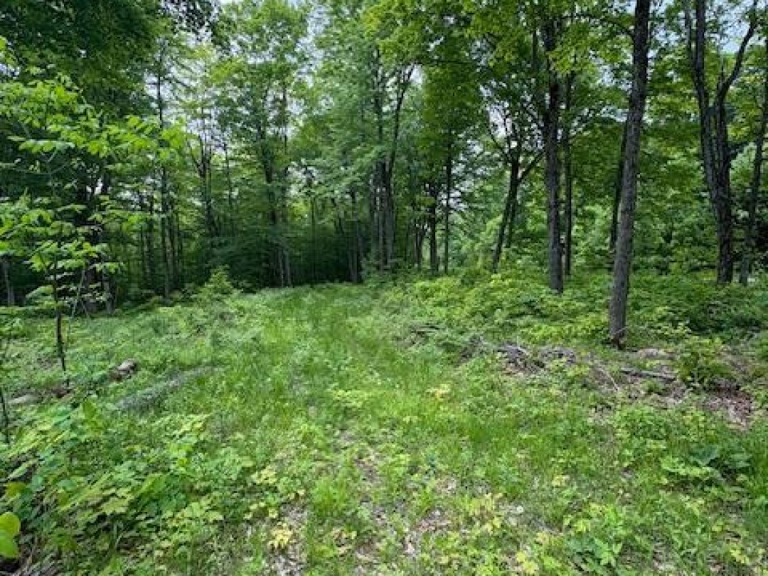 0 Loucks Road, Seguin
