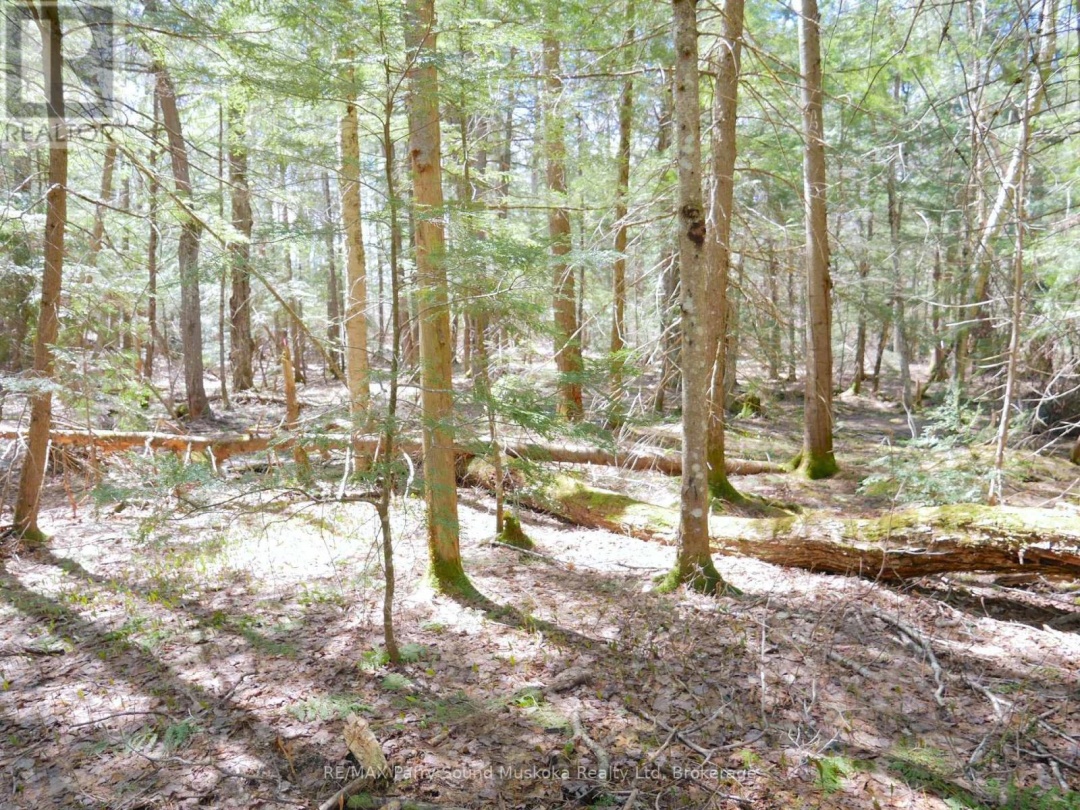 3 GREENWOOD CAMP ROAD, Seguin