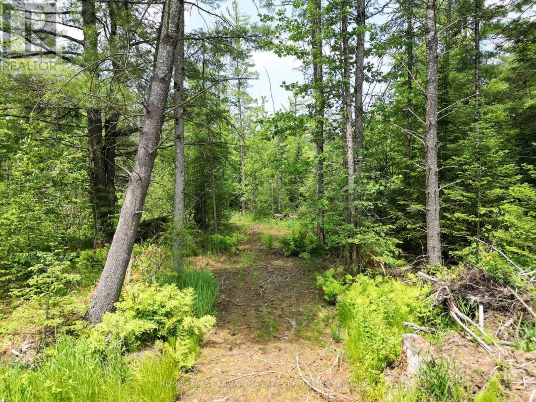 LOT 8 WATSON DRIVE, 