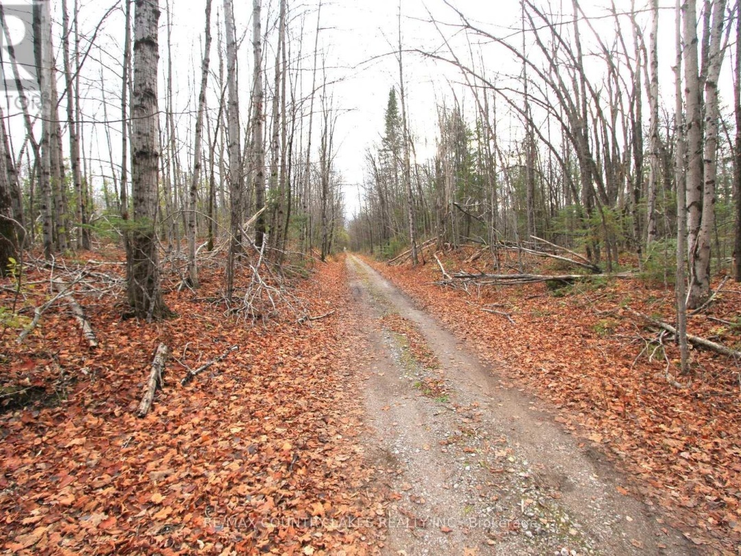 LT3 RAMBLEWOOD TRAIL,