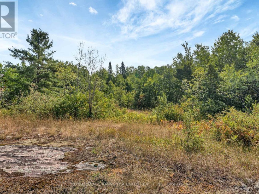 48 MACKENZIE ROAD, 