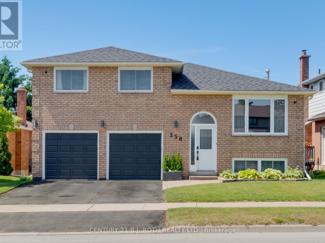 258 COLLEGIATE DRIVE, 