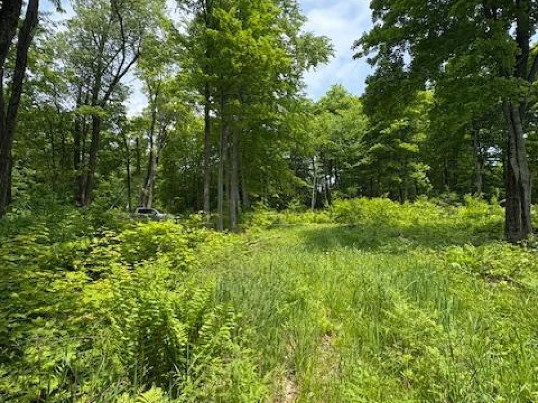 0 Loucks Road, Seguin