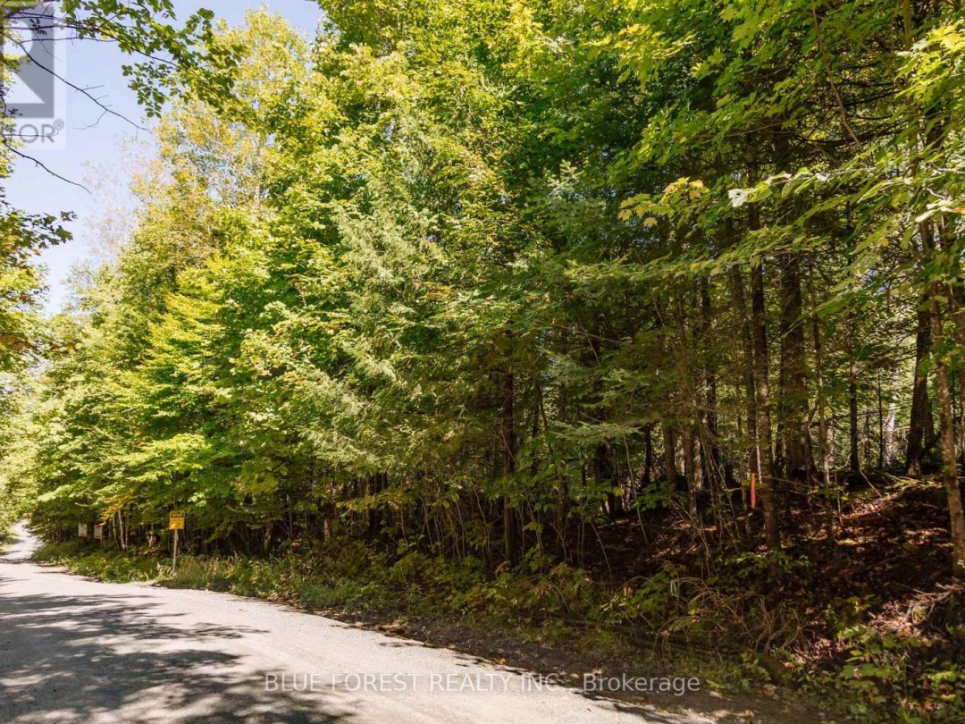 Lot 69 25Th Line, Maple Lake