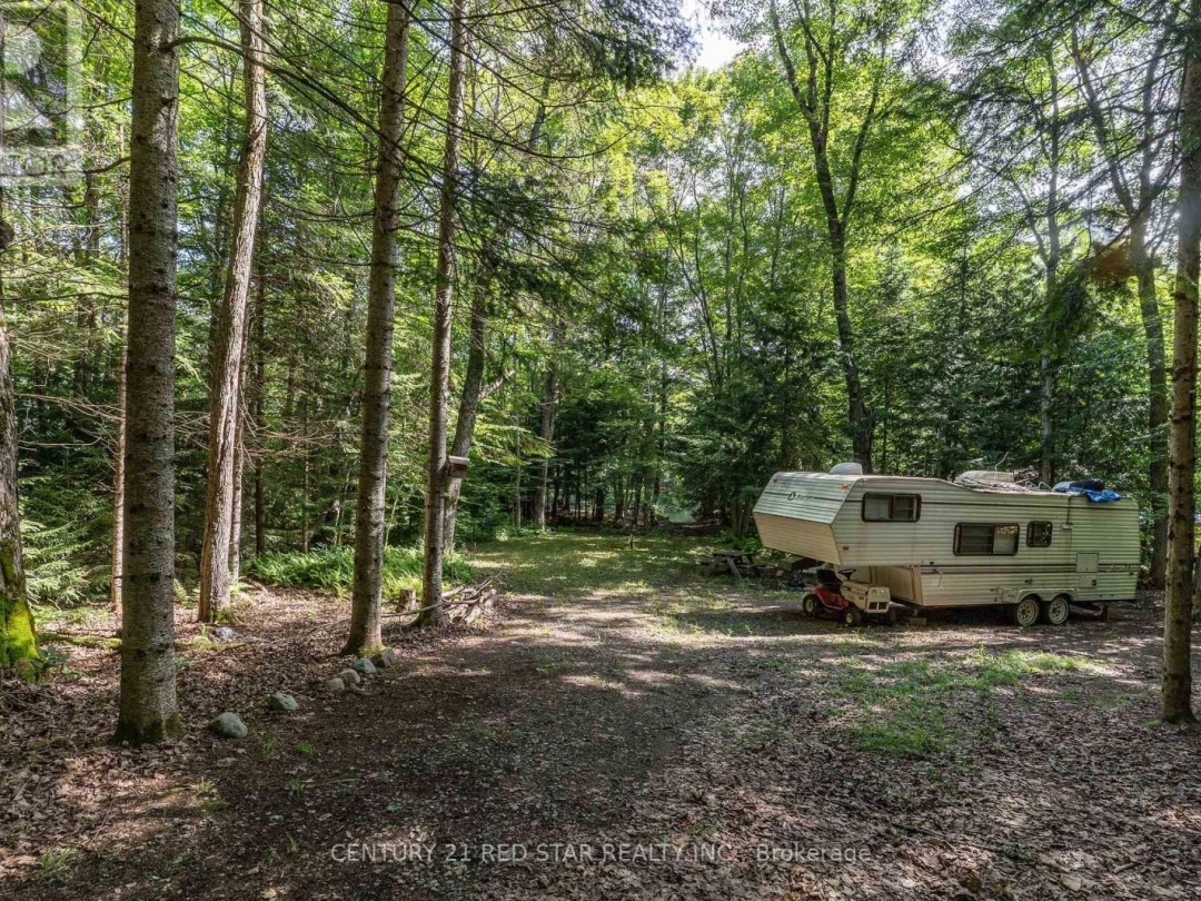 1139 SHERWOOD FOREST ROAD, 