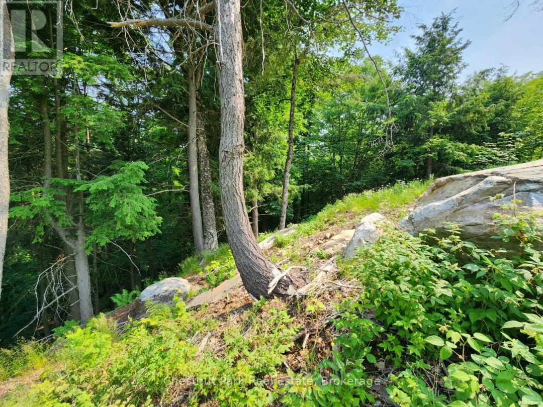 19 OLD HEMLOCK TRAIL, 