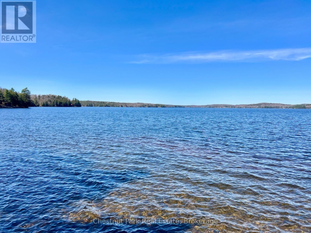 1036 Abbey Lane, Boshkung Lake