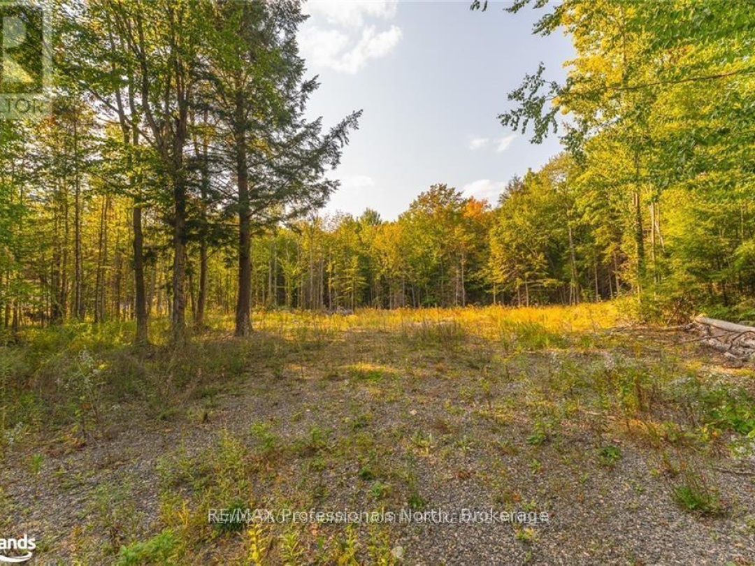 1205 Little Hawk Lake Road, Algonquin Highlands