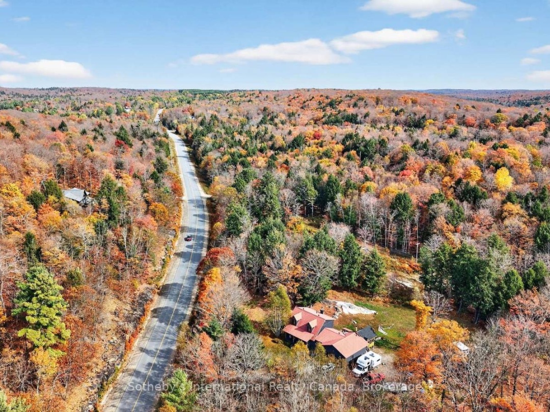 1132 LIMBERLOST ROAD, 