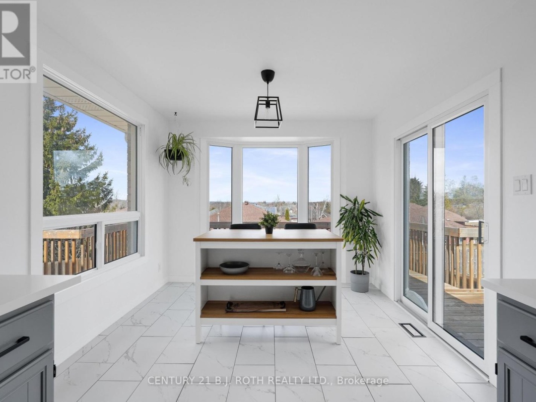 258 COLLEGIATE DRIVE, 