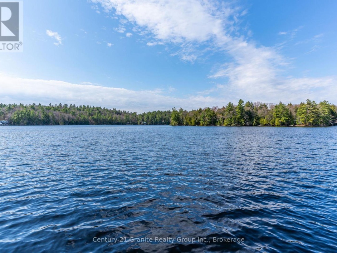 1027 Heney Trail, Big Hawk Lake