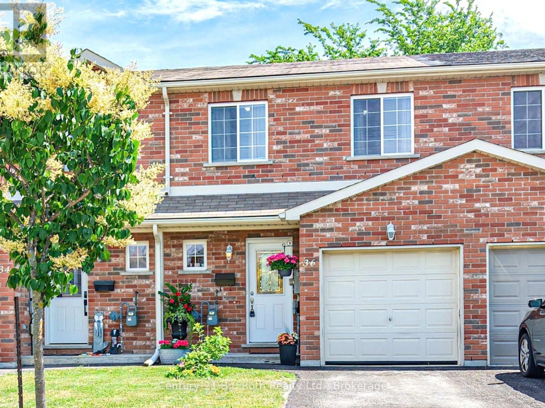 36 MICHELLE DRIVE, 