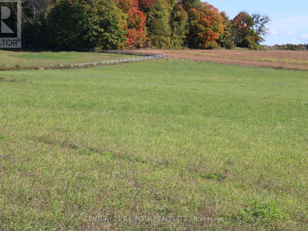 388 WOODLAND DRIVE, Oro-Medonte