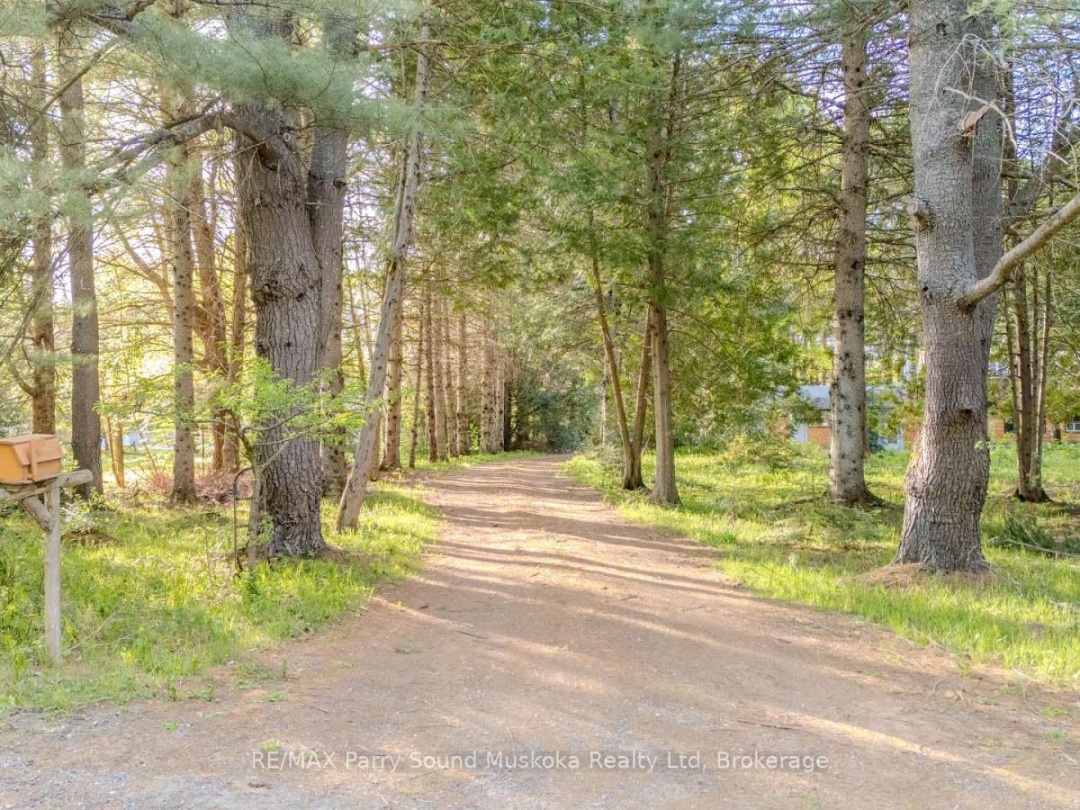 82 Bradley Road, Blackwater Lake