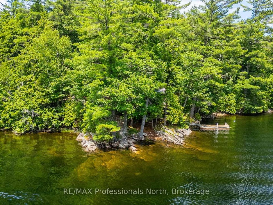 53437 BIG HAWK LAKE, 