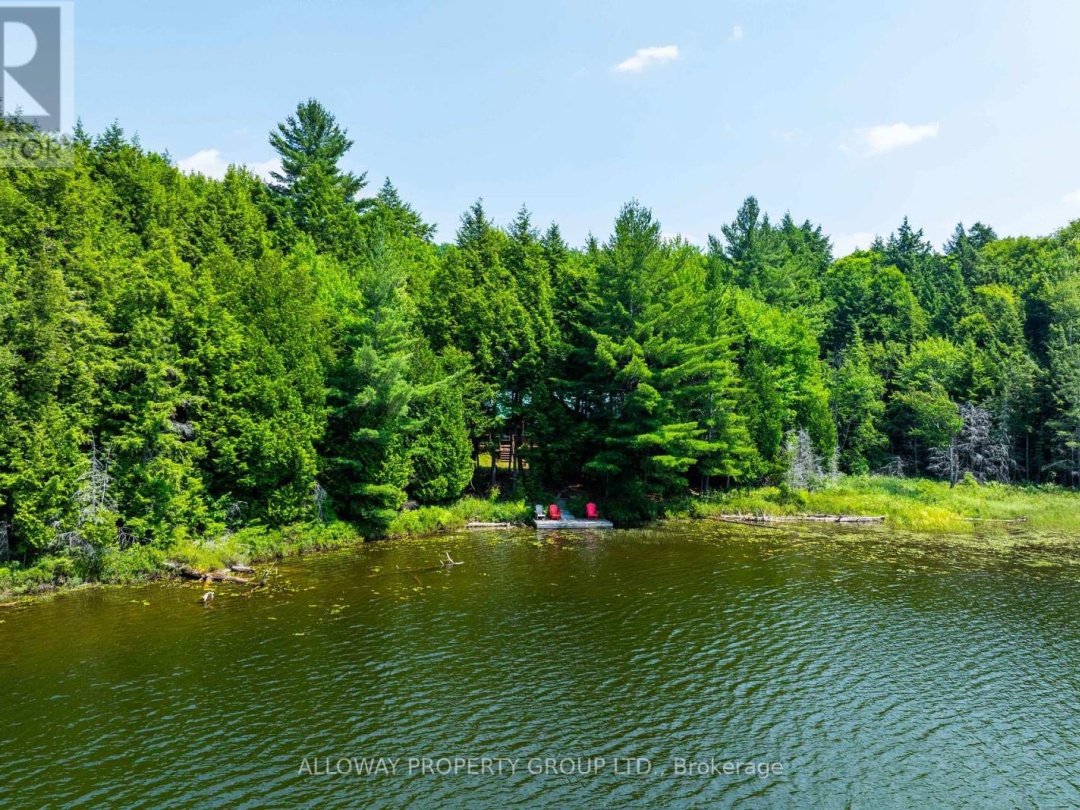 1211 BIRCHY LAKE DRIVE, 