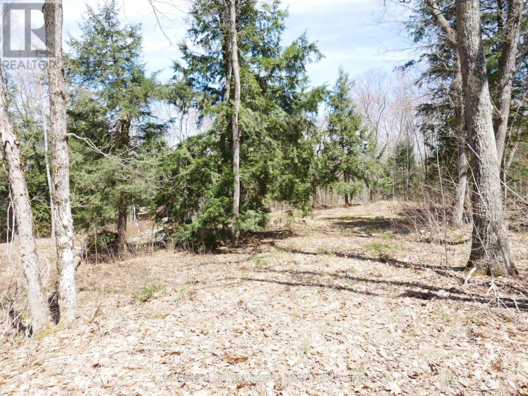 3 GREENWOOD CAMP ROAD, Seguin