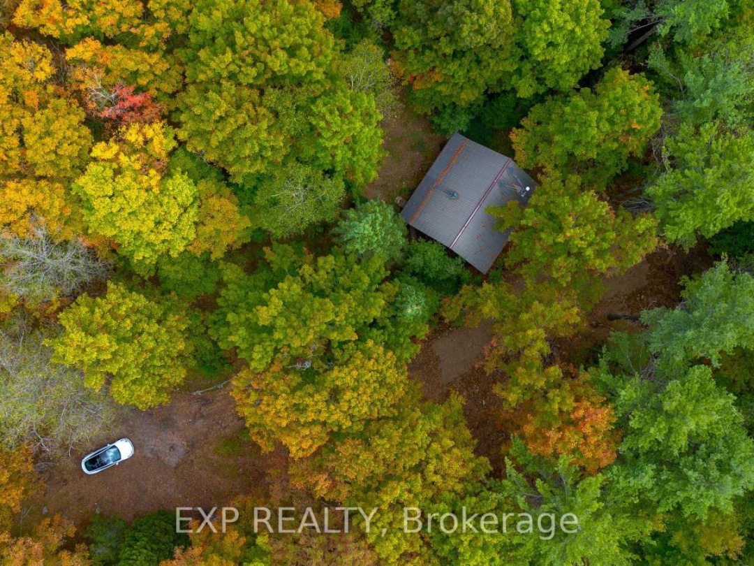 10282 COUNTY ROAD 503, 