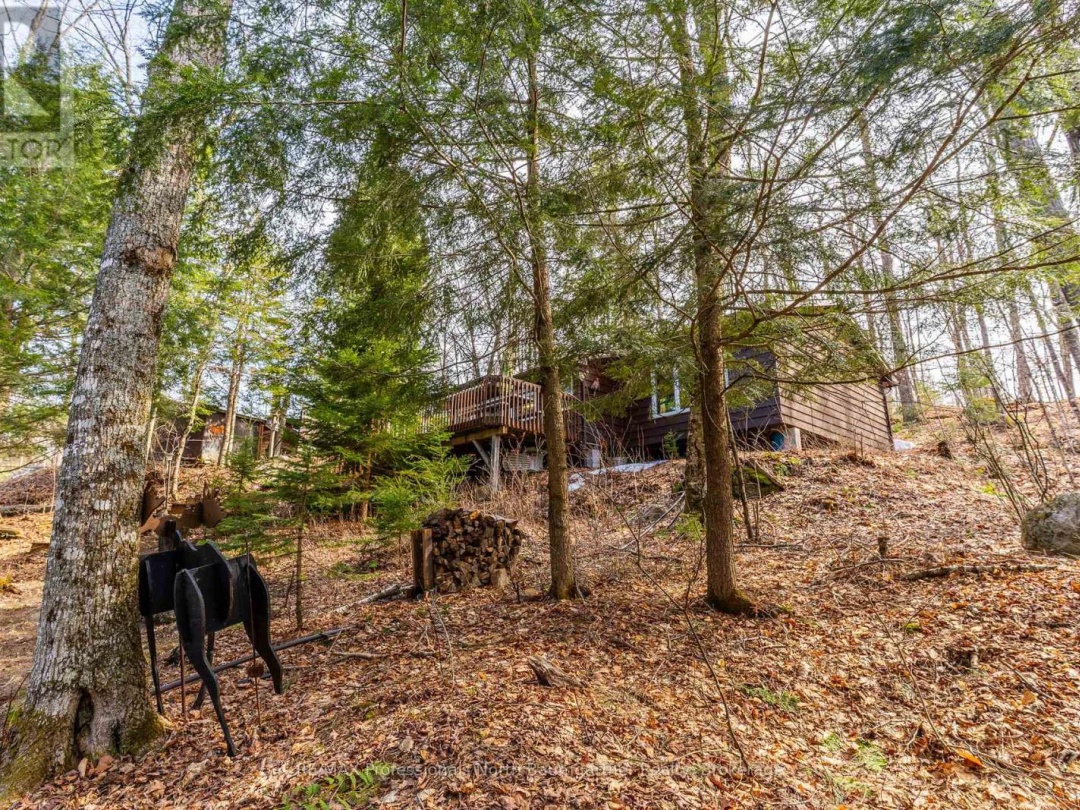 1117 Mink Road, Long Lake