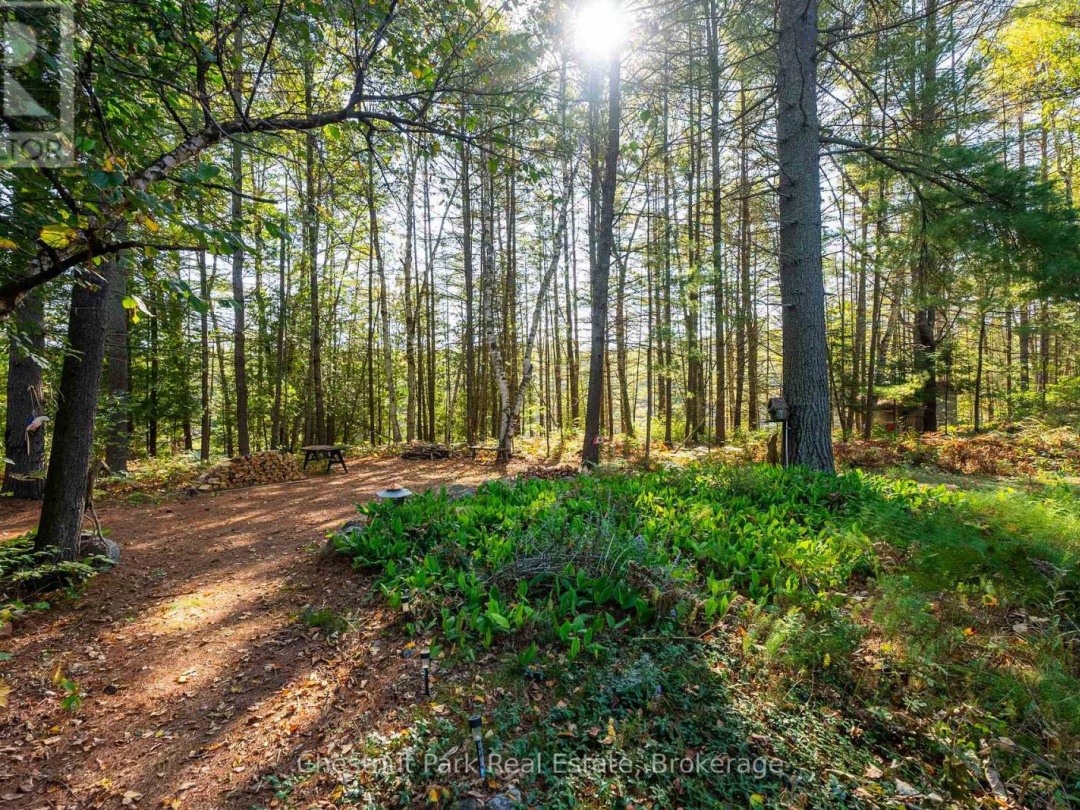 1000 Brown Island, Soyers Lake