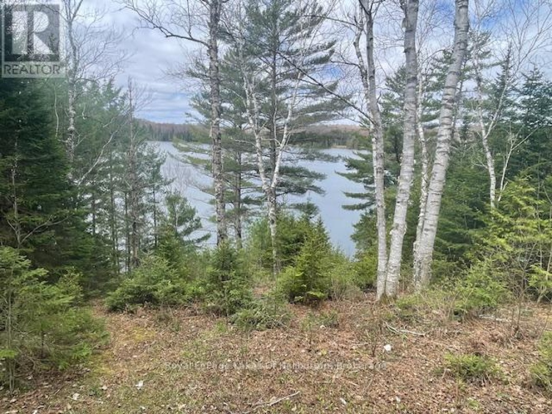 1407 PAYNES ROAD, 