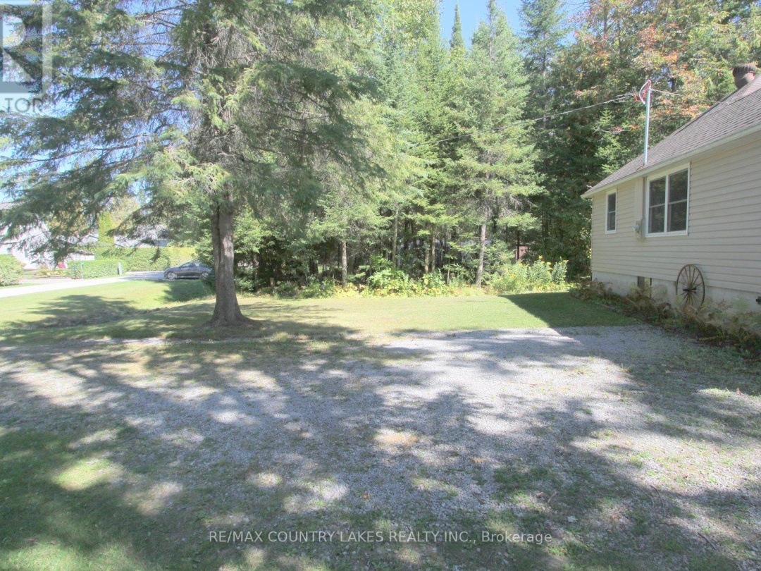 62 PARADISE ROAD, 